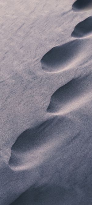 Wallpaper